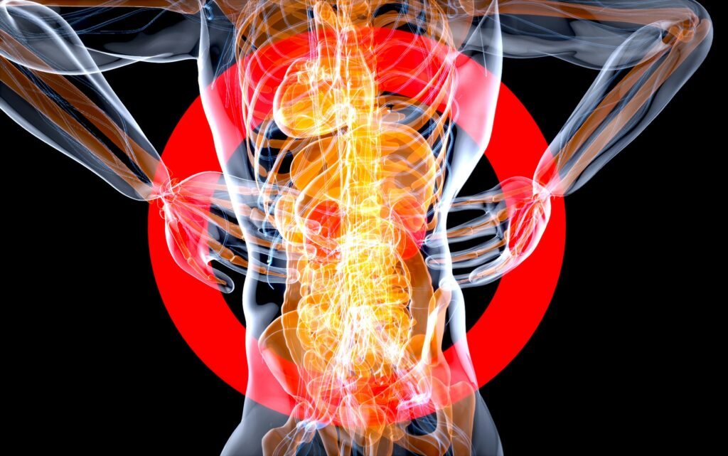 Xray view a woman's body showing the internal organs and bones.